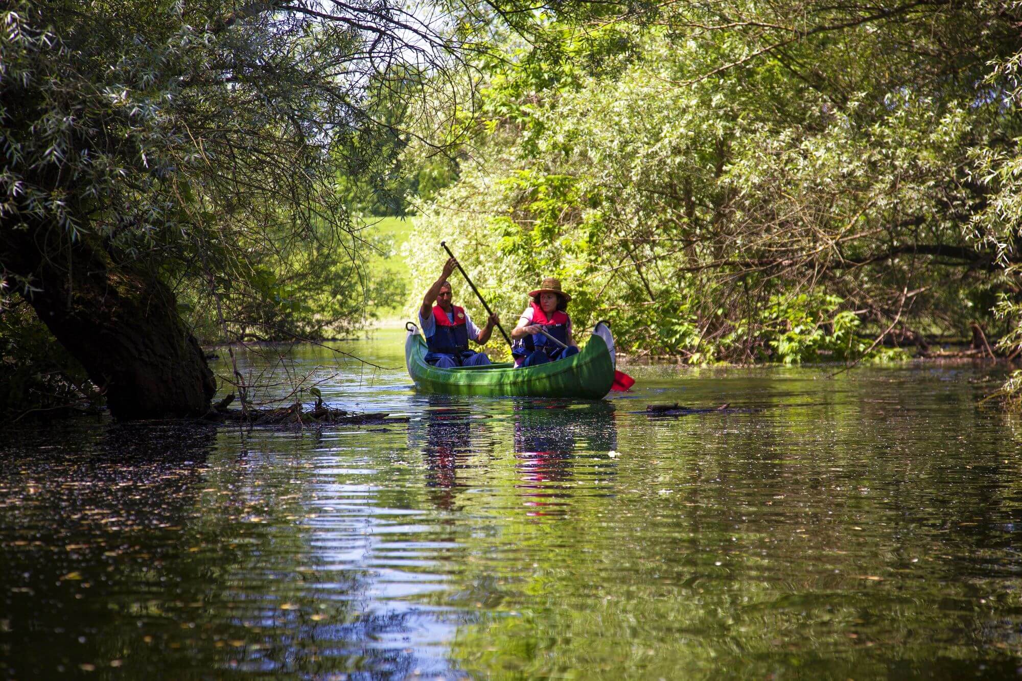 Kopački rit, nature Park, Danube, Drava, Zoological Reserve, Habsburgs, Titos Castle