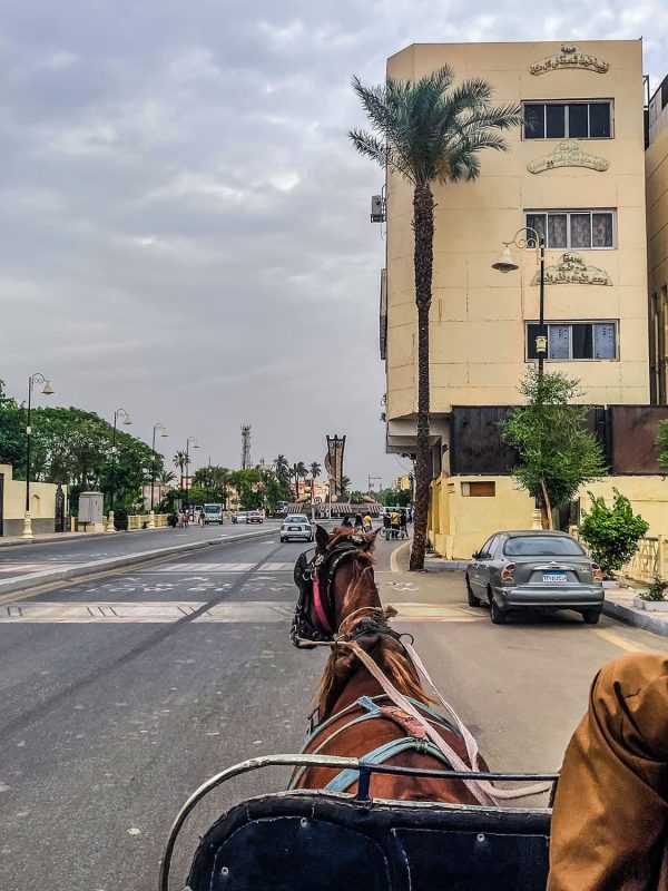 Nile River, Egypt, Luxor, Pharaohs, guest house, Luxor city, Luxor Museum, The Mummification Museum, Luxor, Luxor city, Nile River, Egyptian culture, Muzej Luksor, Muzeja mumifikacije,hijeroglifi, Rijeka Nil, Egipat, Luksor, faraoni, pansion, grad Luksor, muzej Luksor, Muzej mumifikacije, Luksor, grad Luksor, rijeka Nil, egipatska kultura, luxor