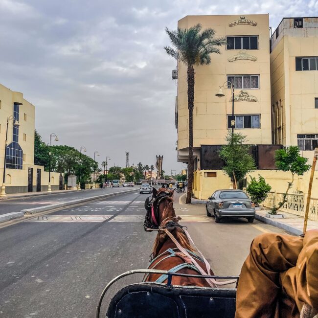 Nile River, Egypt, Luxor, Pharaohs, guest house, Luxor city, Luxor Museum, The Mummification Museum, Luxor, Luxor city, Nile River, Egyptian culture, Muzej Luksor, Muzeja mumifikacije,hijeroglifi, Rijeka Nil, Egipat, Luksor, faraoni, pansion, grad Luksor, muzej Luksor, Muzej mumifikacije, Luksor, grad Luksor, rijeka Nil, egipatska kultura, luxor