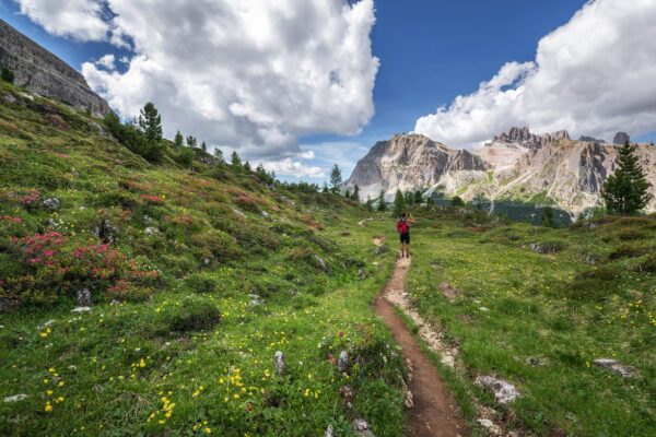 Adria regija, fotke, društvene mreže, list, TOP 5, nedjelja, tema, Facebook, Instagram, hashtag, priroda, Slovenija, Hrvatska, Bosna i Hercegovina, Crna Gora, Albanija, fotografija, video sadržaj, komentar, objava, link, tag, #adriafun,cool photos, TOP 5 PHOTOS FROM THE ADRIA REGION, top 5, photos, Adria region, life in the Adria, Nature is calling you, #adriafun