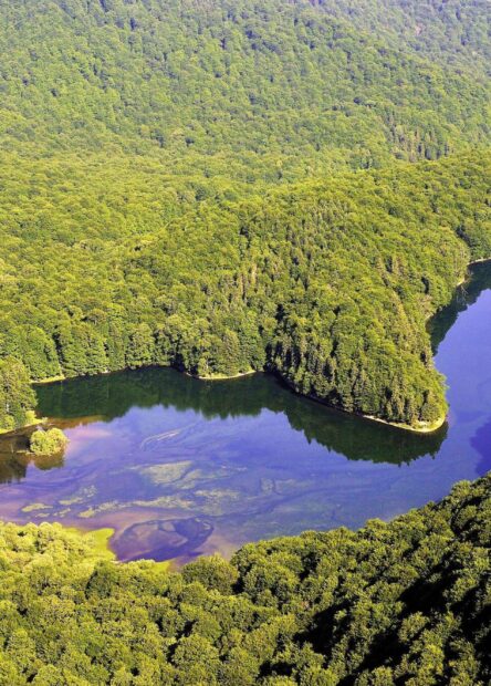 National Park Biogradska gora, Lake Biograd, Montenegro, Kolašin, Biogradska gora National Park, lakes montenegro, places to visit in montenegro Nacionalni park Biogradska gora, Biogradsko jezero, Crna Gora, Kolašin, jezera crna gora, mjesta za posjetiti u crnoj gori