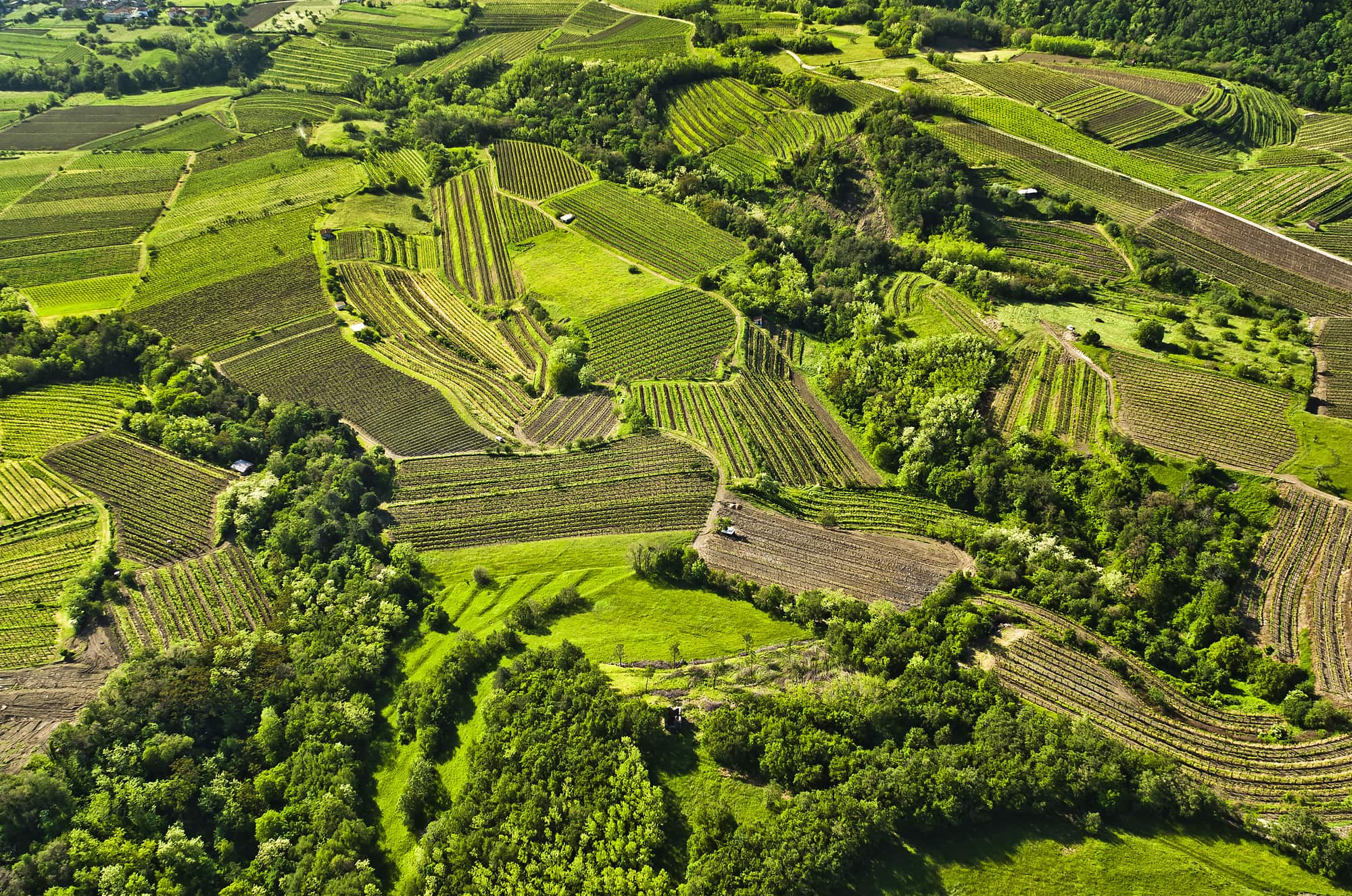 Vipava Valley, Slovenia, Tabor Castle, Ajdovščina Museum, Lanthieri Mansion, Cerje Monument of Peace, Solkan Bridge, Church of St. Stephen Vipava, Kostanjevica Monastery, Goriška Museum, Rihemberk Castle, Nanos Plateau,slovenian wine, slovenian wine region, Vipavski križ, Goče, pedrovo, Solkan, Trnovo and Banjšice Plateau, Šempeter pri Gorici, Vipavska dolina, Slovenija, Dvorac Tabor, Muzej Ajdovščina, Dvorac Lanthieri, Spomenik mira Cerje, Solkanski most, Crkva sv. Stjepana Vipavskog, Samostan Kostanjevica, Goriški muzej, Dvorac Rihemberk, visoravan Nanos, slovensko vino, slovenska vinska regija, Vipavski križ , Goče, Pedrovo, Solkan, Trnovska i Banjšička visoravan, Šempeter pri Gorici,