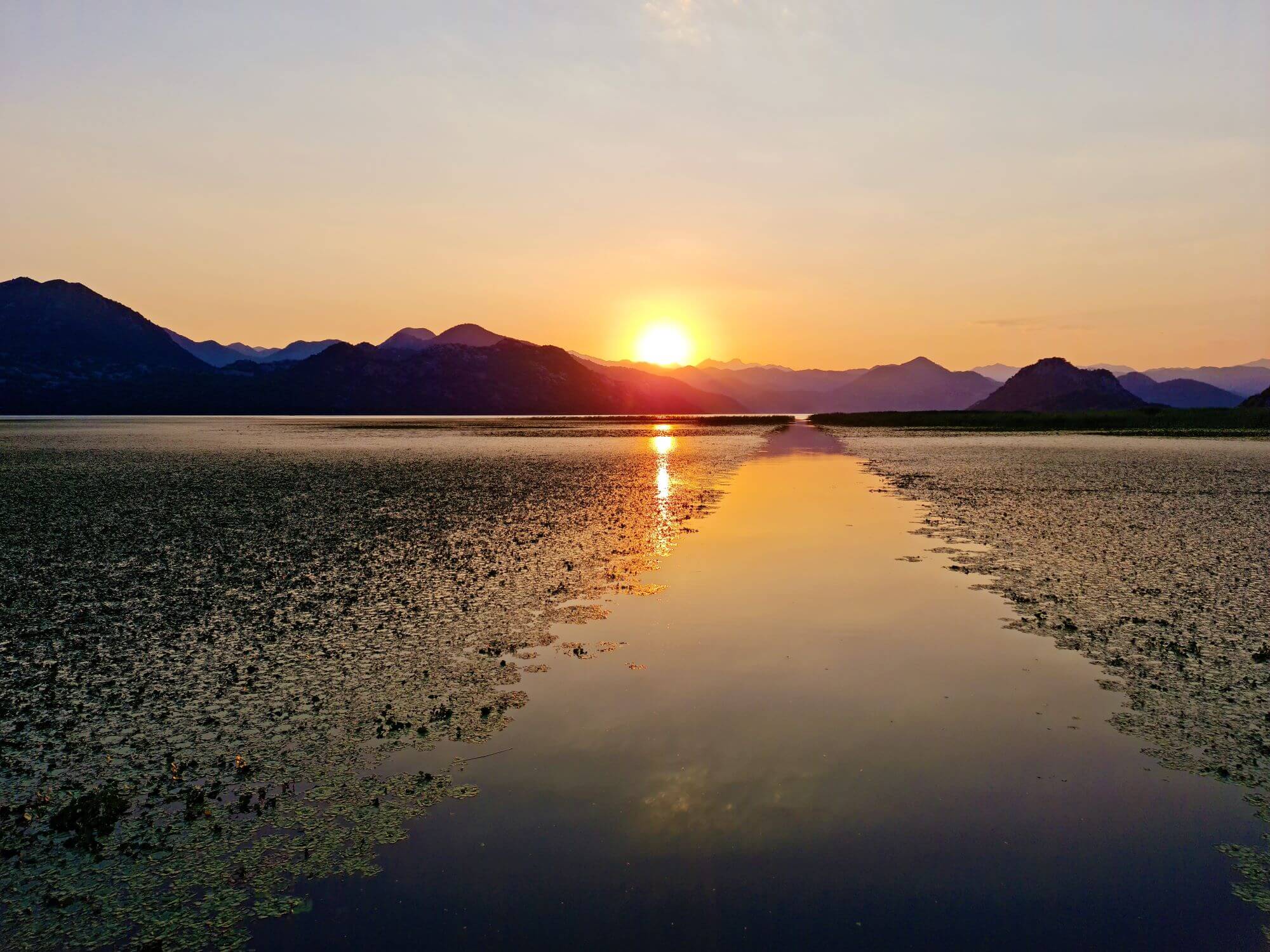 Hotel Pelikan, Virpazar, Skadar Lake, Podgorica, Bar, hotels, Virpazar hotels, Skadar Lake hotels, Tomun Zec, Lake Skadar, boat rides on Lake Skadar, virpazar boat ride, Pelikan restaurant, Montenegrin wine, Pelikan hotel, Hotel Pelikan, Virpazar, Skadarsko jezero, Podgorica, Bar, hoteli, hoteli Virpazar, hoteli Skadarsko jezero, Tomun Zec, Skadarsko jezero, vožnja čamcem po Skadarskom jezeru, vožnja čamcem virpazar, restoran Pelikan, Crnogorsko vino, hotel Pelikan, vožnja čamcem skadar
