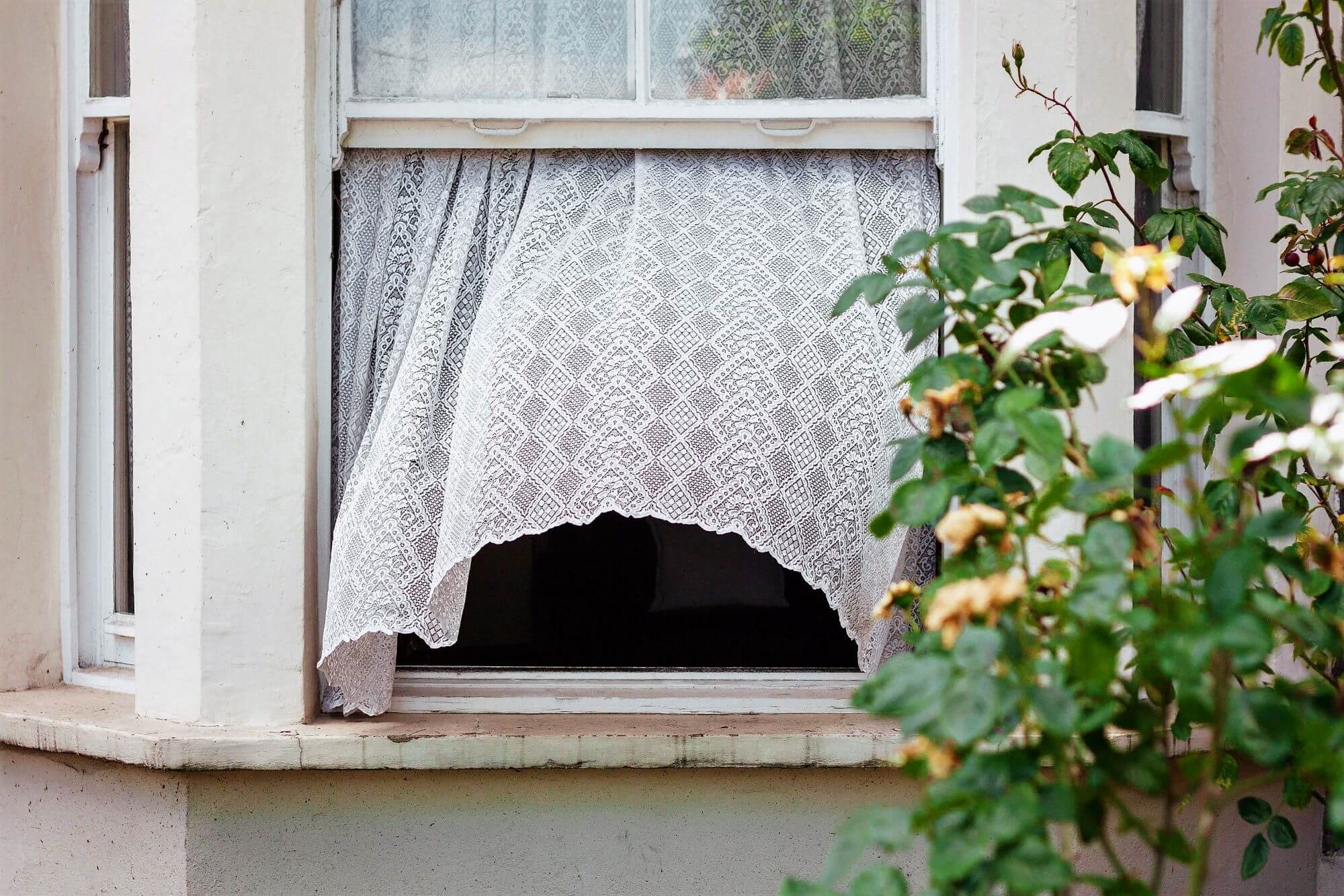draft, balkan stigmas, strange habits croatia, strange habits bosnia, strange habits montenegro, strange habits slovenia, strange habits albania, draft kills, propuh, balkanske stigme, čudne navike hrvatska, čudne navike bosna, čudne navike crna gora, čudne navike slovenija, čudne navike albanija, propuh ubija,