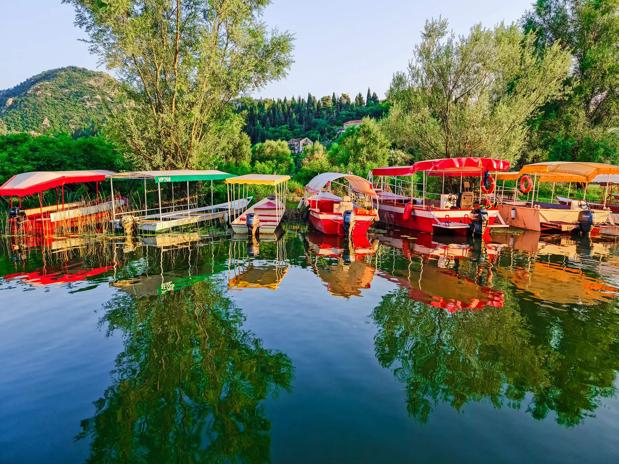 Lake Skadar, Virpazar, Hotel Pelikan, Montenegro, Albania, Lake Skadar National Park, lake skadar legend, is lake skadar worth visiting, lake skadar boat ride, lake skadar, lake skadar boat trip, lake skadar cruise, lake skadar swimming, lake skadar day trip Skadarsko jezero, Virpazar, Hotel Pelikan, Crna Gora, Albanija, Nacionalni park Skadarsko jezero, legenda o Skadarskom jezeru, vrijedi li posjetiti Skadarsko jezero, vožnja brodom po Skadarskom jezeru, Skadarsko jezero, izlet brodom po Skadarskom jezeru, krstarenje Skadarskim jezerom, plivanje po Skadarskom jezeru, Skadarsko jezero jednodnevni izlet