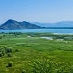 Lake Skadar, Virpazar, Hotel Pelikan, Montenegro, Albania, Lake Skadar National Park, lake skadar legend, is lake skadar worth visiting, lake skadar boat ride, lake skadar, lake skadar boat trip, lake skadar cruise, lake skadar swimming, lake skadar day trip Skadarsko jezero, Virpazar, Hotel Pelikan, Crna Gora, Albanija, Nacionalni park Skadarsko jezero, legenda o Skadarskom jezeru, vrijedi li posjetiti Skadarsko jezero, vožnja brodom po Skadarskom jezeru, Skadarsko jezero, izlet brodom po Skadarskom jezeru, krstarenje Skadarskim jezerom, plivanje po Skadarskom jezeru, Skadarsko jezero jednodnevni izlet