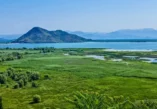 Lake Skadar, Virpazar, Hotel Pelikan, Montenegro, Albania, Lake Skadar National Park, lake skadar legend, is lake skadar worth visiting, lake skadar boat ride, lake skadar, lake skadar boat trip, lake skadar cruise, lake skadar swimming, lake skadar day trip Skadarsko jezero, Virpazar, Hotel Pelikan, Crna Gora, Albanija, Nacionalni park Skadarsko jezero, legenda o Skadarskom jezeru, vrijedi li posjetiti Skadarsko jezero, vožnja brodom po Skadarskom jezeru, Skadarsko jezero, izlet brodom po Skadarskom jezeru, krstarenje Skadarskim jezerom, plivanje po Skadarskom jezeru, Skadarsko jezero jednodnevni izlet