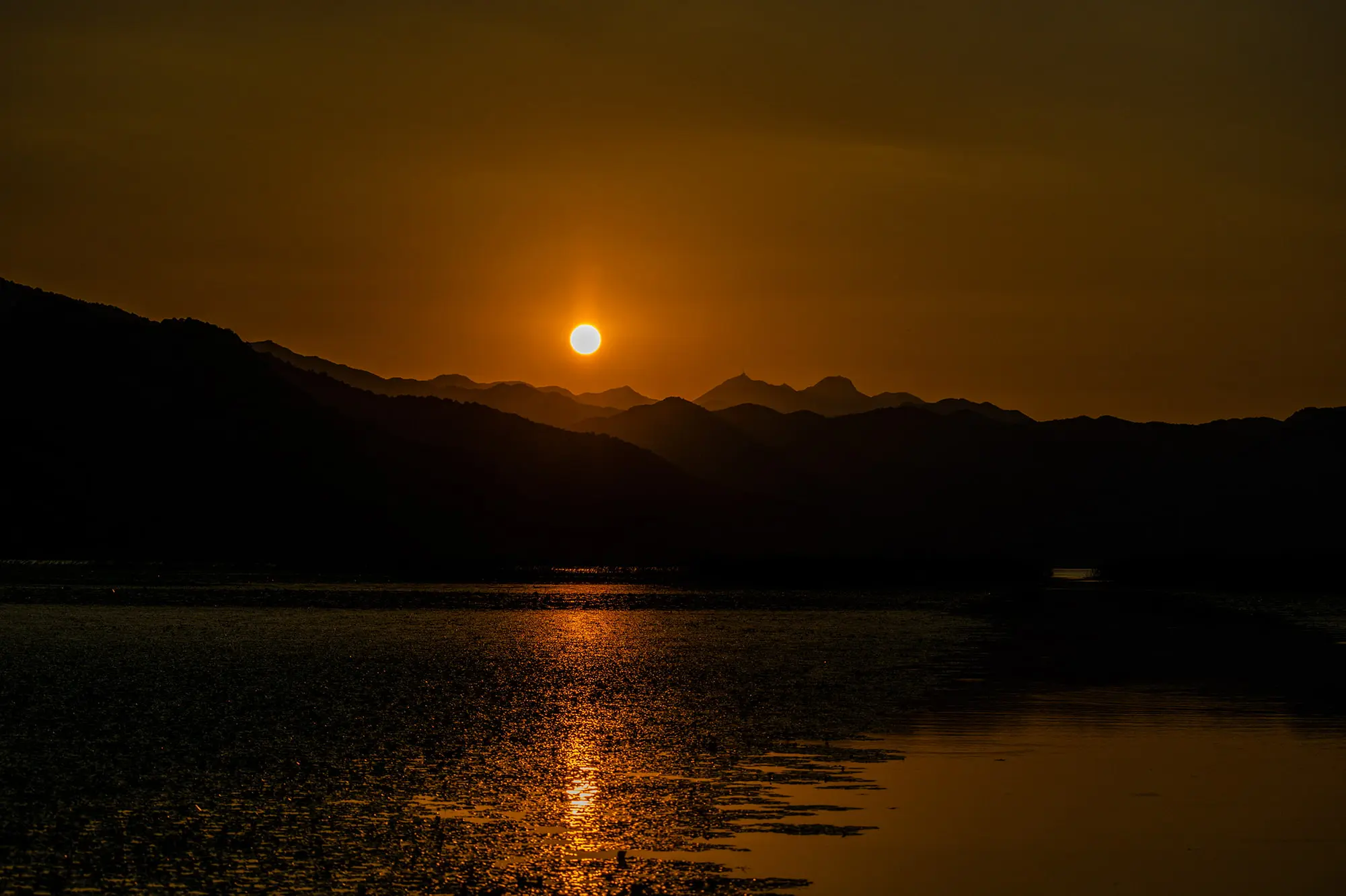 Lake Skadar, Virpazar, Hotel Pelikan, Montenegro, Albania, Lake Skadar National Park, lake skadar legend, is lake skadar worth visiting, lake skadar boat ride, lake skadar, lake skadar boat trip, lake skadar cruise, lake skadar swimming, lake skadar day trip Skadarsko jezero, Virpazar, Hotel Pelikan, Crna Gora, Albanija, Nacionalni park Skadarsko jezero, legenda o Skadarskom jezeru, vrijedi li posjetiti Skadarsko jezero, vožnja brodom po Skadarskom jezeru, Skadarsko jezero, izlet brodom po Skadarskom jezeru, krstarenje Skadarskim jezerom, plivanje po Skadarskom jezeru, Skadarsko jezero jednodnevni izlet