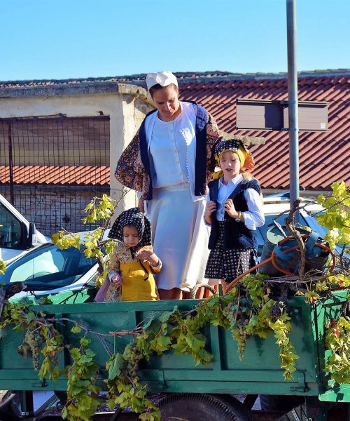 Grape Day, city of Buje, Buje, Bujstina, traditional festival in Croatia, Malvazija band, Pop Gunz, Dj Dazz, Dj Nikola z Kukurini, Les Babettes & The 1000 Streets' Orchestra, Oscar & Noemi, Bura band, brass band ZT Buje, brass band "Arcobaleno Junior, Ilija Ludvig , Dj Rubikon, Noćni Skok, Vatra, Replay Band, group Bukaleta, Four Tenors, mori cantada tournament, briskola, Dan grožđa, grad Buje, Buje, Bujština, tradicionalna fešta u Hrvatskoj, Malvazija band, Pop Gunz, Dj Dazz, Dj Nikola z Kukurini, Les Babettes & The 1000 Streets' Orchestra, Oscar & Noemi, Bura band, Limena glazba ZT Buje , limena glazba "Arcobaleno Junior, Ilija Ludvig , Dj Rubikon, Noćni Skok, Vatra, Replay Band, grupa Bukaleta, Četiri tenora, turnir mori kantade, briškola,