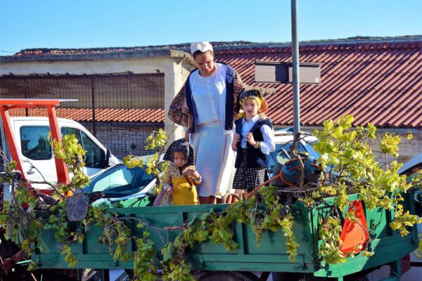 Grape Day, city of Buje, Buje, Bujstina, traditional festival in Croatia, Malvazija band, Pop Gunz, Dj Dazz, Dj Nikola z Kukurini, Les Babettes & The 1000 Streets' Orchestra, Oscar & Noemi, Bura band, brass band ZT Buje, brass band "Arcobaleno Junior, Ilija Ludvig , Dj Rubikon, Noćni Skok, Vatra, Replay Band, group Bukaleta, Four Tenors, mori cantada tournament, briskola, Dan grožđa, grad Buje, Buje, Bujština, tradicionalna fešta u Hrvatskoj, Malvazija band, Pop Gunz, Dj Dazz, Dj Nikola z Kukurini, Les Babettes & The 1000 Streets' Orchestra, Oscar & Noemi, Bura band, Limena glazba ZT Buje , limena glazba "Arcobaleno Junior, Ilija Ludvig , Dj Rubikon, Noćni Skok, Vatra, Replay Band, grupa Bukaleta, Četiri tenora, turnir mori kantade, briškola,