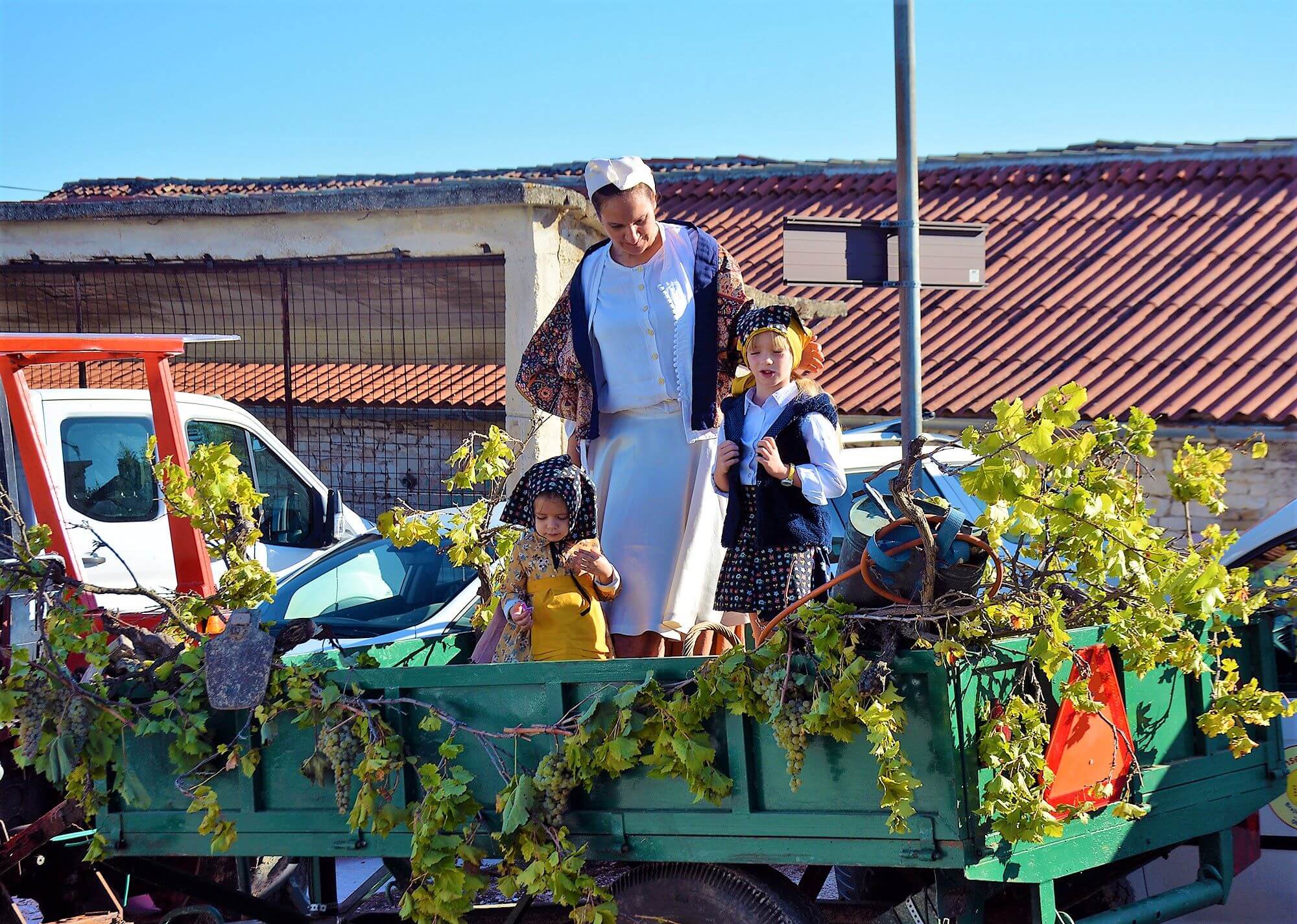 Grape Day, city of Buje, Buje, Bujstina, traditional festival in Croatia, Malvazija band, Pop Gunz, Dj Dazz, Dj Nikola z Kukurini, Les Babettes & The 1000 Streets' Orchestra, Oscar & Noemi, Bura band, brass band ZT Buje, brass band "Arcobaleno Junior, Ilija Ludvig , Dj Rubikon, Noćni Skok, Vatra, Replay Band, group Bukaleta, Four Tenors, mori cantada tournament, briskola, Dan grožđa, grad Buje, Buje, Bujština, tradicionalna fešta u Hrvatskoj, Malvazija band, Pop Gunz, Dj Dazz, Dj Nikola z Kukurini, Les Babettes & The 1000 Streets' Orchestra, Oscar & Noemi, Bura band, Limena glazba ZT Buje , limena glazba "Arcobaleno Junior, Ilija Ludvig , Dj Rubikon, Noćni Skok, Vatra, Replay Band, grupa Bukaleta, Četiri tenora, turnir mori kantade, briškola,