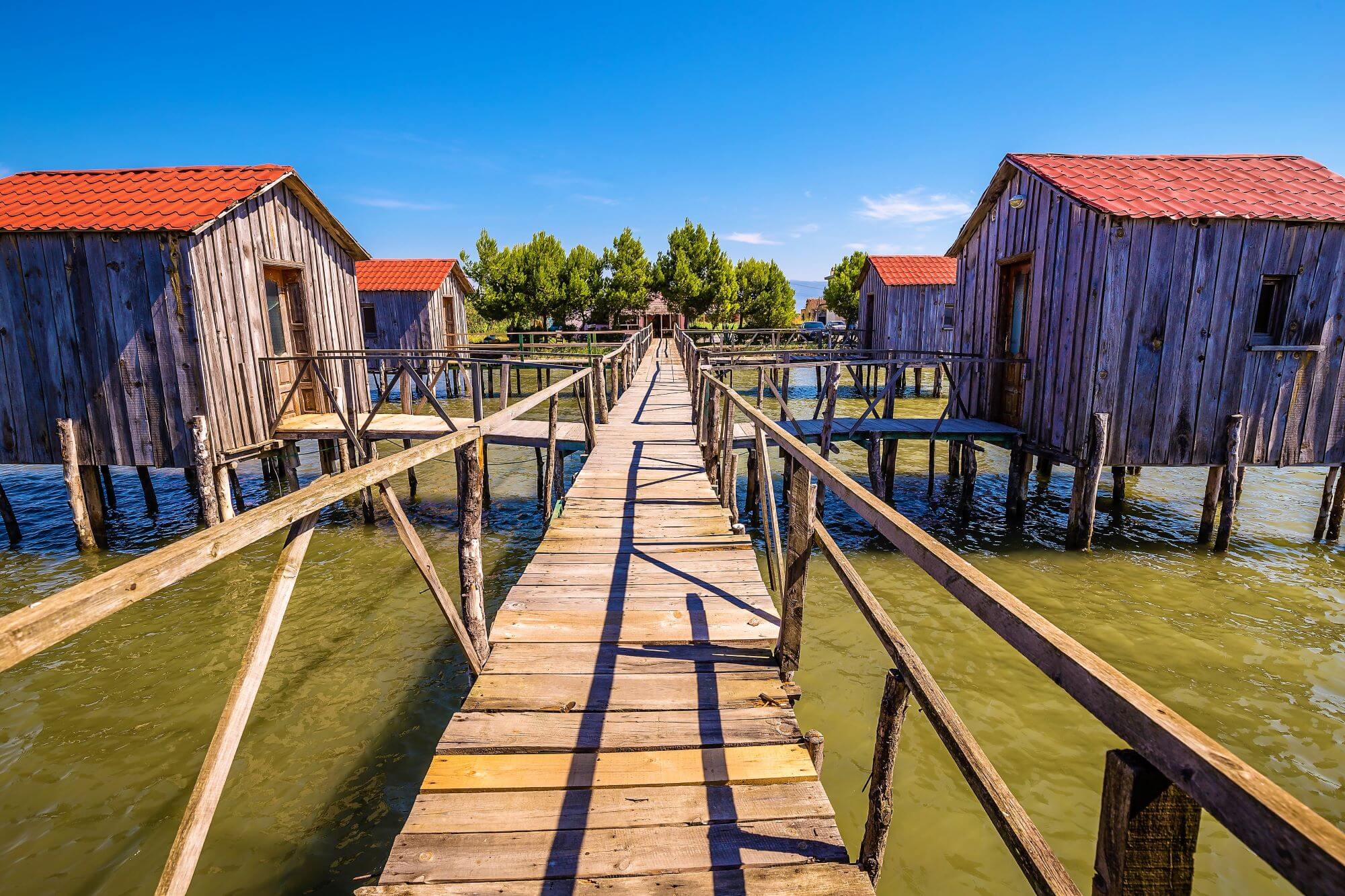 Patok-Fushe Kuqe Nature Park, Tirana, Albania, Patok lagoon, patë, Patok-Fushe Kuqe Reserve, Lagoon of Patok, Patok lagoon boat ride, Patok nature park photos, Patok nature park tickets, Patok Restaurant, Laguna e Patokut, Patok Albania, Patok-Fushë Kuqe-Ishëm Nature Park Park prirode Patok-Fushe Kuqe, Tirana, Albanija, laguna Patok, patë, rezervat Patok-Fushe Kuqe, laguna Patok, vožnja brodom po laguni Patok, fotografije parka prirode Patok, ulaznice za park prirode Patok, restoran Patok, Laguna e Patokut, Patok Albanija , Park prirode Patok-Fushe Kuqe-Ishem