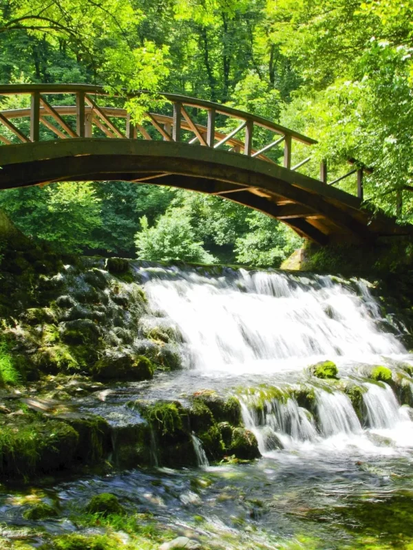 Bosnia and Herzegovina, Vrelo Bosne, Vrelo bosne, Vrelo Bosne park, Ilidža, Velika Aleja, Velika aleja Vrelo bosne, Vrelo bosne ticket price, Vrelo bosne sarajevo, Vrelo Bosne parking, Vrelo Bosne restaurant, Vrelo Bosne Tripadvisor, How to get to Vrelo Bosne, Visit Vrelo Bosne, velika aleja ilidza Bosna i Hercegovina, Vrelo Bosne, Vrelo bosne, Vrelo Bosne park, Ilidža, Velika Aleja, Velika aleja Vrelo bosne, Vrelo bosne cijena ulaznice, Vrelo bosne sarajevo, Vrelo Bosne parking, Vrelo Bosne restoran, Vrelo Bosne Tripadvisor, Kako doći do Vrela Bosne, Visit Vrelo Bosne, velika aleja ilidza