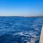 Istra, Funtana, Vrsar, Rovinj, Novigrad, Jadransko more, izleti brodom, Limski fjord, Pervino vinarija, brod Matek, izleti brodom Novigra, Dupin safari Novigrad, Istria, Funtana, Vrsar, Rovinj, Novigrad, Adriatic Sea, boat trips, Limski Fjord, Pervino winery, Matek boat, boat trips Novigra, Dolphin safari Novigrad