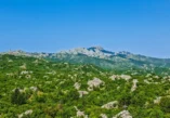 Montenegro, Boka Kotor Bay, Cetinje, National Park Lovcen, Štirovnik, Stirovnik, highest peak of Lovcen, Mount Lovcen, black mountain,  Cetinje, Kotor, Jezerski Vrh, Njegos Mausoleum, Best view of Kotor, Horizont Bar Montenegro Crna Gora, Bokokotorski zaljev, Cetinje, Nacionalni park Lovćen, Štirovnik, najviši vrh Lovćena, planina Lovćen, crna planina,  Cetinje, Kotor, Jezerski Vrh, Njegošev mauzolej, Najbolji pogled na Kotor, Horizont Bar Crna Gora
