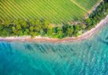 Ankaran peninsula, Ankaran, Debeli rtič, Slovenian coast, Koper, Mediterranean, St. Nicholas, Benedictine monastery of St. Nicholas, Valdoltra, Student, Debeli rtic, Sveti Jerneja, Poluotok Ankaran, Ankaran, Debeli rtič, Slovenska obala, Kopar, Mediteran, Sveti Nikola, Benediktinski samostan Svetog Nikole, Valdoltra, Student, Debeli rtič, Sveti Jerneja,