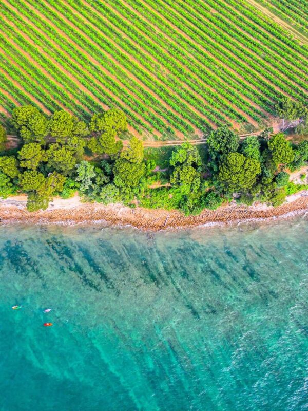 Ankaran peninsula, Ankaran, Debeli rtič, Slovenian coast, Koper, Mediterranean, St. Nicholas, Benedictine monastery of St. Nicholas, Valdoltra, Student, Debeli rtic, Sveti Jerneja, Poluotok Ankaran, Ankaran, Debeli rtič, Slovenska obala, Kopar, Mediteran, Sveti Nikola, Benediktinski samostan Svetog Nikole, Valdoltra, Student, Debeli rtič, Sveti Jerneja,