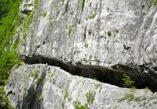 river Mrtvica, Mrtvica river, Montenegro, Mrtvica River Canyon, Kolašin, deepest canyon in Europe, Tara, Mrtvica canyon, Moracke mountains, Zeleni vir, Danilo Petrovic, Danilo bridge, Gate of Desire, fairy from Maganika, White Nerins, hidden gem Montenegro rijeka Mrtvica, rijeka Mrtvica, Crna Gora, kanjon rijeke Mrtvice, Kolašin, najdublji kanjon u Evropi, Tara, kanjon Mrtvice, Moračke planine, Zeleni vir, Danilo Petrović, Danilov most, Kapija želja, vila iz Maganike, Bijeli Nerini, skriveni dragulj Crna Gora