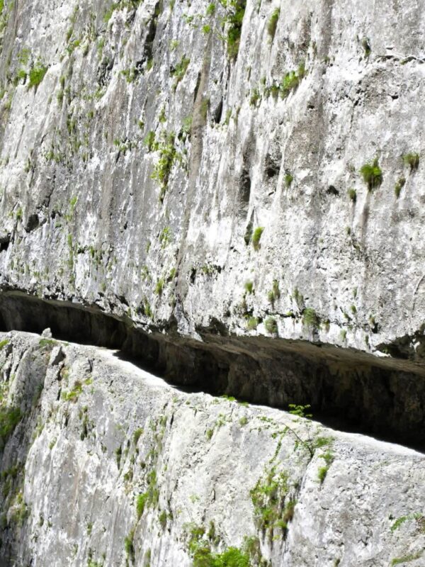 river Mrtvica, Mrtvica river, Montenegro, Mrtvica River Canyon, Kolašin, deepest canyon in Europe, Tara, Mrtvica canyon, Moracke mountains, Zeleni vir, Danilo Petrovic, Danilo bridge, Gate of Desire, fairy from Maganika, White Nerins, hidden gem Montenegro rijeka Mrtvica, rijeka Mrtvica, Crna Gora, kanjon rijeke Mrtvice, Kolašin, najdublji kanjon u Evropi, Tara, kanjon Mrtvice, Moračke planine, Zeleni vir, Danilo Petrović, Danilov most, Kapija želja, vila iz Maganike, Bijeli Nerini, skriveni dragulj Crna Gora