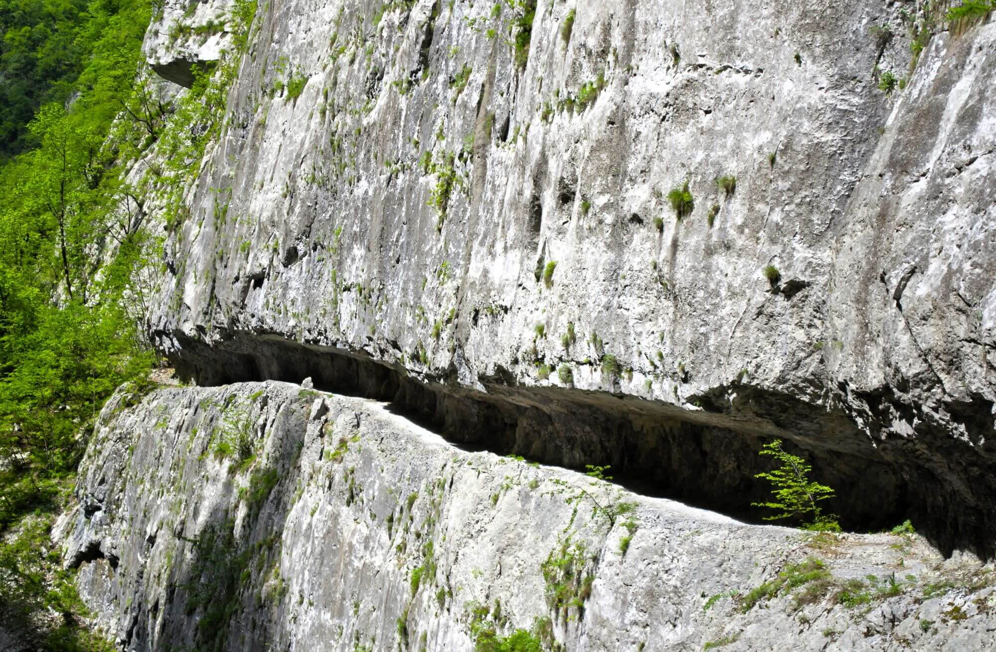 river Mrtvica, Mrtvica river, Montenegro, Mrtvica River Canyon, Kolašin, deepest canyon in Europe, Tara, Mrtvica canyon, Moracke mountains, Zeleni vir, Danilo Petrovic, Danilo bridge, Gate of Desire, fairy from Maganika, White Nerins, hidden gem Montenegro rijeka Mrtvica, rijeka Mrtvica, Crna Gora, kanjon rijeke Mrtvice, Kolašin, najdublji kanjon u Evropi, Tara, kanjon Mrtvice, Moračke planine, Zeleni vir, Danilo Petrović, Danilov most, Kapija želja, vila iz Maganike, Bijeli Nerini, skriveni dragulj Crna Gora