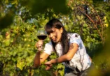 Why is St. Martin's Day celebrated, st Martins Day, Adria region, St. Martin, St Martins Day in Slovenia, St Martins Day in Croatia, Sveti Martin na Muri, Velika Gorica, Dugo Selo, Požega, Kutjevo, Sv. Ivan Zelina, wines served on St. Martin's Day, St. Martin's day, Maribor, Slovenia, Croatia Zašto se slavi Martinje, Martinje, Adria regija, Sveti Martin, Martinje u Sloveniji, Martinje u Hrvatskoj, Sveti Martin na Muri, Velika Gorica, Dugo Selo, Požega, Kutjevo, Sv. Ivan Zelina, vina točena na Martinje, Martinje, Maribor, Slovenija, Hrvatska, Martinovanje,