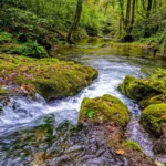 Žumberak-Samobor Gorje, Slapnica Valley, Krašić, Medven Draga, Slapnica quarry, Vranjak waterfall, Dragan's mill, Brisalo waterfall, zumberak, zumberak hiking trails, hiking trails near zagreb, Žumberak-Samoborsko Gorje, dolina Slapnice, Krašić, Medven Draga, kamenolom Slapnica, slap Vranjak, Draganov mlin, slap Brisalo, žumberak, planinarske staze žumberak, planinarske staze u okolici zagreba,