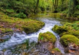 Žumberak-Samobor Gorje, Slapnica Valley, Krašić, Medven Draga, Slapnica quarry, Vranjak waterfall, Dragan's mill, Brisalo waterfall, zumberak, zumberak hiking trails, hiking trails near zagreb, Žumberak-Samoborsko Gorje, dolina Slapnice, Krašić, Medven Draga, kamenolom Slapnica, slap Vranjak, Draganov mlin, slap Brisalo, žumberak, planinarske staze žumberak, planinarske staze u okolici zagreba,