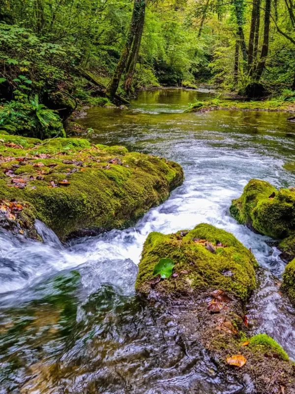 Žumberak-Samobor Gorje, Slapnica Valley, Krašić, Medven Draga, Slapnica quarry, Vranjak waterfall, Dragan's mill, Brisalo waterfall, zumberak, zumberak hiking trails, hiking trails near zagreb, Žumberak-Samoborsko Gorje, dolina Slapnice, Krašić, Medven Draga, kamenolom Slapnica, slap Vranjak, Draganov mlin, slap Brisalo, žumberak, planinarske staze žumberak, planinarske staze u okolici zagreba,