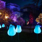 Botanical Garden of the National Museum of Bosnia and Herzegovina, Sarajevo, Botanical Garden Sarajevo, Botanical Garden, Sarajevo Light Festival, Festival of Lights Sarajevo Botanički vrt Zemaljskog muzeja Bosne i Hercegovine, Sarajevo, Botanički vrt Sarajevo, Botanički vrt, Festival svjetla Sarajevo, Sarajevo Festival svjetla