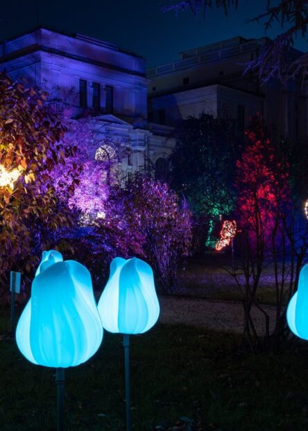 Botanical Garden of the National Museum of Bosnia and Herzegovina, Sarajevo, Botanical Garden Sarajevo, Botanical Garden, Sarajevo Light Festival, Festival of Lights Sarajevo Botanički vrt Zemaljskog muzeja Bosne i Hercegovine, Sarajevo, Botanički vrt Sarajevo, Botanički vrt, Festival svjetla Sarajevo, Sarajevo Festival svjetla