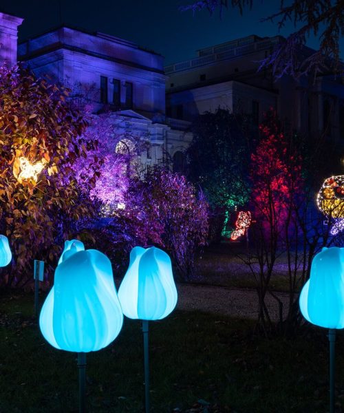 Botanical Garden of the National Museum of Bosnia and Herzegovina, Sarajevo, Botanical Garden Sarajevo, Botanical Garden, Sarajevo Light Festival, Festival of Lights Sarajevo Botanički vrt Zemaljskog muzeja Bosne i Hercegovine, Sarajevo, Botanički vrt Sarajevo, Botanički vrt, Festival svjetla Sarajevo, Sarajevo Festival svjetla