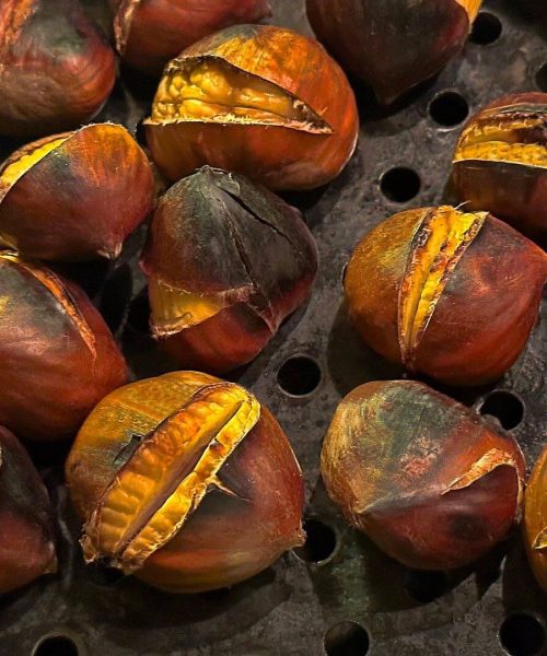 Virpazar, Ulcinj, Skadar lake, chestnut, Ostros, Koštanijada, Chestnut Festival, Bar, Krajina, touristic offer of Krajina, municipality of Bar, Kostanijada montenegro, events in montenegro, events bar, chesnut festival bar, chesnut festival ostros, Muzafer Kolići, Merita Bonjaku, Bujar Ćamili, Zef Beka Virpazar, Ulcinj, Skadarsko jezero, kesten, Ostros, Koštanijada, Kestenijada, Bar, Krajina, turistička ponuda Krajine, opština Bar, Kostanijada Crna Gora, manifestacije u Crnoj Gori, event bar, kestenijada bar, kestenijada ostros, Muzafer Kolići, Merita Bonjaku, Bujar Ćamili, Zef Beka