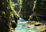 Slovenian, Alps, Vintgar Canyon, Hotel Triglav, Bled, Lake Bled, Adria fun travel suitcases, Adria fun suitcases, Radovna River, Blejski Vintgar, Hotel Triglav in Bled, Šum waterfall, Sum waterfall, Vintgar, Benedikt Lergetporer, Slovenia, Slovenske, Alpe, Vintgar Canyon, Hotel Triglav, Bled, Bledsko jezero, Adria fun travel kovčezi, Adria zabavni kovčezi, Radovna Rijeka, Blejski vintgar, Hotel Triglav na Bledu, slap Šum, slap Sum, Vintgar, Benedikt Lergetporer, Slovenija,