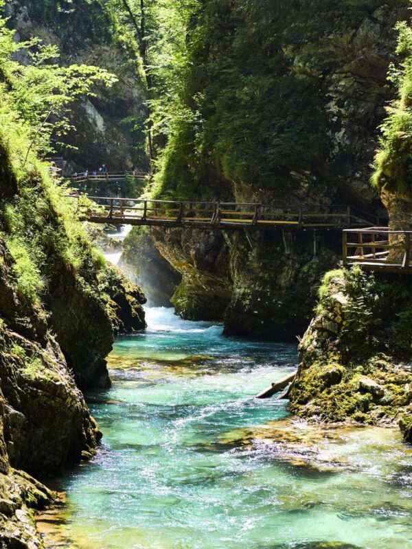 Slovenian, Alps, Vintgar Canyon, Hotel Triglav, Bled, Lake Bled, Adria fun travel suitcases, Adria fun suitcases, Radovna River, Blejski Vintgar, Hotel Triglav in Bled, Šum waterfall, Sum waterfall, Vintgar, Benedikt Lergetporer, Slovenia, Slovenske, Alpe, Vintgar Canyon, Hotel Triglav, Bled, Bledsko jezero, Adria fun travel kovčezi, Adria zabavni kovčezi, Radovna Rijeka, Blejski vintgar, Hotel Triglav na Bledu, slap Šum, slap Sum, Vintgar, Benedikt Lergetporer, Slovenija,