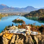 view of Lake Bled, Lake Bled, the most beautiful view of Lake Bled, mountain peaks Lake Bled, Hotel Triglav in Bled, Hotel Triglav, suitcases, Adria fun suitcases, peaks, Ojstrica, Mala Osojnica, Velika Osojnica, visit Bled, romantic panorama of Lake Bled, romantic view of Lake Bled, Kaštela, Kastela, Stol, Sava river, Karavanki, Vrtaca, Begunjscica, Dobrca, Velika Zaka, Karavanke, Kamniška Alps, Gorenjska Plain, Kamnik-Savinja Alps, Ljubljana Basin, pogled na Bledsko jezero, Bledsko jezero, najljepši pogled na Bledsko jezero, planinski vrhovi Bledsko jezero, hotel Triglav na Bledu, hotel Triglav, koferi, Adria zabavni koferi, vrhovi, Ojstrica, Mala Osojnica, Velika Osojnica, posjetite Bled, romantična panorama Bledsko jezero, romantični pogled na Bledsko jezero, Kaštela, Kaštela, Stol, rijeka Sava, Karavanke, Vrtača, Begunjščica, Dobrca, Velika Zaka, Karavanke, Kamniške Alpe, Gorenjska ravnica, Kamniško-Savinjske Alpe, Ljubljanska kotlina,