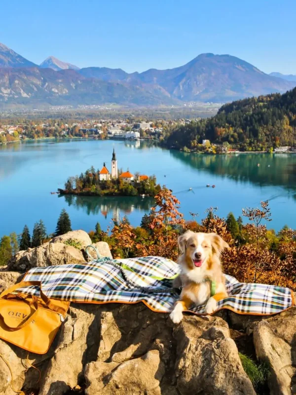 view of Lake Bled, Lake Bled, the most beautiful view of Lake Bled, mountain peaks Lake Bled, Hotel Triglav in Bled, Hotel Triglav, suitcases, Adria fun suitcases, peaks, Ojstrica, Mala Osojnica, Velika Osojnica, visit Bled, romantic panorama of Lake Bled, romantic view of Lake Bled, Kaštela, Kastela, Stol, Sava river, Karavanki, Vrtaca, Begunjscica, Dobrca, Velika Zaka, Karavanke, Kamniška Alps, Gorenjska Plain, Kamnik-Savinja Alps, Ljubljana Basin, pogled na Bledsko jezero, Bledsko jezero, najljepši pogled na Bledsko jezero, planinski vrhovi Bledsko jezero, hotel Triglav na Bledu, hotel Triglav, koferi, Adria zabavni koferi, vrhovi, Ojstrica, Mala Osojnica, Velika Osojnica, posjetite Bled, romantična panorama Bledsko jezero, romantični pogled na Bledsko jezero, Kaštela, Kaštela, Stol, rijeka Sava, Karavanke, Vrtača, Begunjščica, Dobrca, Velika Zaka, Karavanke, Kamniške Alpe, Gorenjska ravnica, Kamniško-Savinjske Alpe, Ljubljanska kotlina,