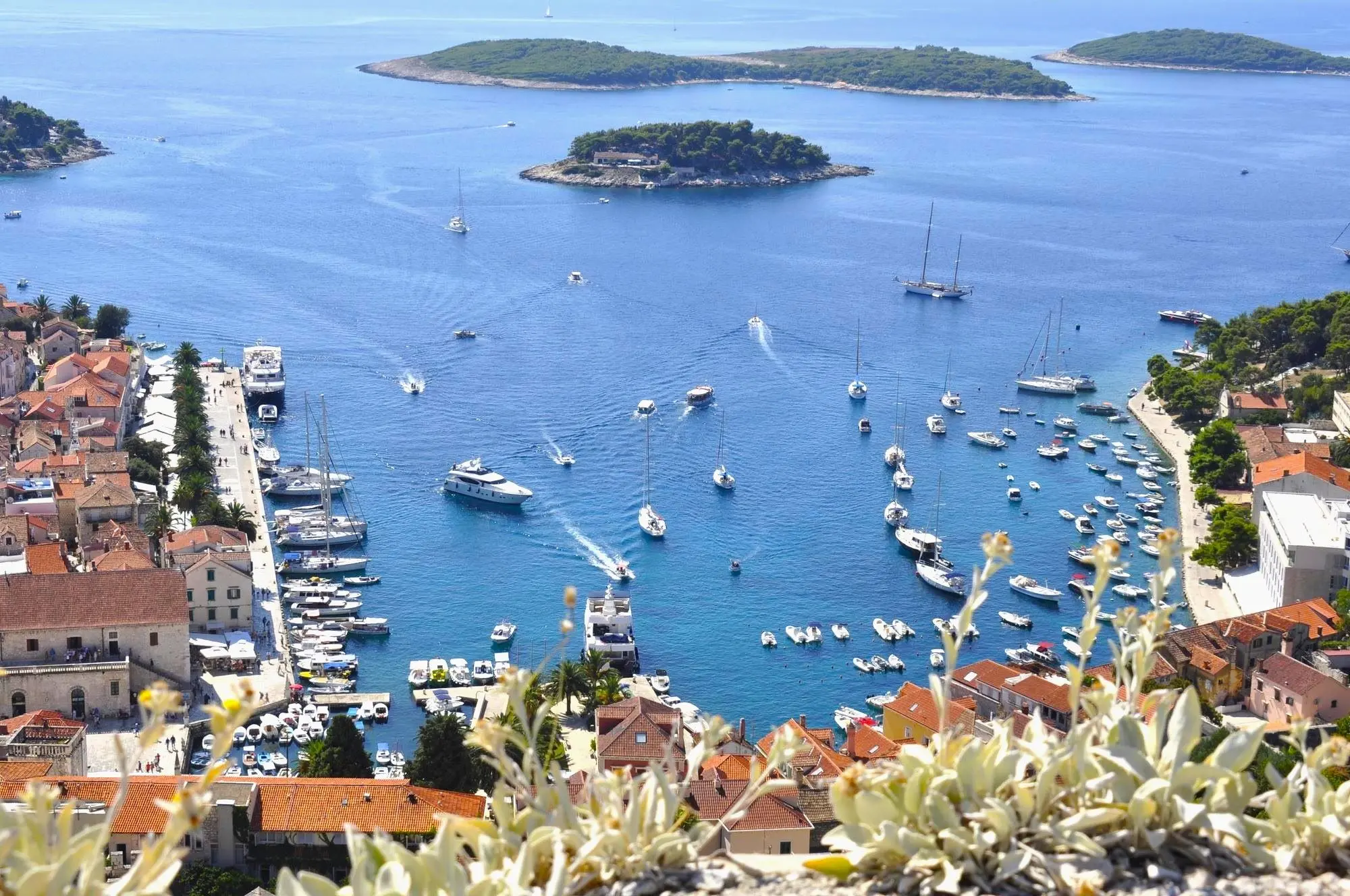 Day of International recognition of the Republic of Croatia, Croatia, Get to know your country, Croatia Tourist Guides Association, Croatian Tourist Board, Osijek, Đakovo, Silvija Habjanec, Vukovar, Ludbreg, Vinkovci, Split, Rijeka, Opatija, Volosko, island of Krk, Hari Vidović, Hum, Dubrovnik, Nin, Korčula, Hvar, Biograd, Motovun, Salona, Zadar, Get to know your country tour, Get to know your country city tour, free tours in Croatia,Dan međunarodnog priznanja Republike Hrvatske, Hrvatska, Upoznaj svoju zemlju, Društvo turističkih vodiča Hrvatske, Hrvatska turistička zajednica, Osijek, Đakovo, Silvija Habjanec, Vukovar, Ludbreg, Vinkovci, Split, Rijeka, Opatija, Volosko, o. Krk, Hari Vidović, Hum, Dubrovnik, Nin, Korčula, Hvar, Biograd, Motovun, Salona, Zadar, Upoznajte svoju zemlju obilazak, Upoznajte svoju zemlju obilazak grada, besplatne ture po Hrvatskoj, Zajednica društava turističkih vodiča Hrvatske,