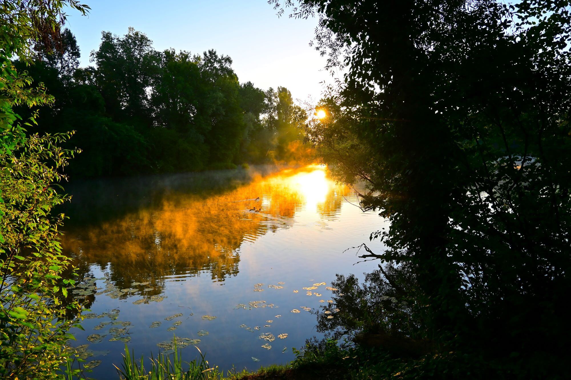 Lake Skadar, Montenegro, Sunrise, Brežice, Slovenia,Adria region , Šibenik, Croatia, Sunrise symbolizes, Sunrise symbol, Plazhi and Gjerenalit, Kavaja, Albania, Alibegovići, Bosnia and Herzegovina,Zagreb, Sunrise Croatia, Sunrise Slovenia, Sunrise Bosnia and Herzegovina, Sunrise Bosnia, Sunrise Montenegro, Sunrise Albania, most beautiful sunrise in croatia, most beautiful sunrise in sloveni, most beautiful sunrise in bosnia, most beautiful sunrise in montenegro, most beautiful sunrise in albania, sunrise in albania photos, sunrise in croatia photos, sunrise in montenegro photos, sunrise in bosnia photos, sunrise in slovenia photos, Skadarsko jezero, Crna Gora, izlazak sunca, Brežice, Slovenija, Adria regija , Šibenik, Hrvatska, izlazak sunca simbolizira, simbol izlaska sunca, Plazhi i Gjerenalit, Kavaja, Albanija, Alibegovići, Bosna i Hercegovina, Zagreb, izlazak sunca Hrvatska, izlazak sunca Slovenija, izlazak sunca Bosna i Hercegovina , Sunrise Bosnia, Sunrise Montenegro, Sunrise Albania, najljepši izlazak sunca u hrvatskoj, najljepši izlazak sunca u sloveniji, najljepši izlazak sunca u bosni, najljepši izlazak sunca u crnoj gori, najljepši izlazak sunca u albaniji, izlazak sunca u albaniji fotografije, izlazak sunca u hrvatskoj fotografije, izlazak sunca u crnoj gori fotografije, izlazak sunca u bosni fotografije, izlazak sunca u sloveniji fotografije,