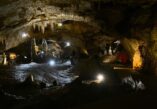 Lipa cave, Lipa cave Cetinje, Lipa cave Montenegro, caves Montenegro, Montenegro, natural sights in Montenegro, Montenegrin culture, Petrović dynasty, lipa cave photos, lipa cave reviews, lipa cave entrance fee, lipa cave tour, lipa cave temperature, lipa cave cetinje, Lipa cave wikipedia, temperature in Lipa cave, best attractions to visit in Cetinje, attractions to visit in Cetinje, attractions Cetinje, Lipa pećina, Lipa pećina Cetinje, Lipa pećina Crna Gora, pećine Crna Gora, Crna Gora, prirodne znamenitosti u Crnoj Gori, crnogorska kultura, dinastija Petrović, fotografije Lipske pećine, recenzije Lipske pećine, ulaznica za Lipsku pećinu, obilazak Lipske pećine, temperatura Lipske pećine, Lipska pećina wikipedia, temperatura u Lipskoj pećini, najbolje atrakcije za posjetiti na Cetinju, atrakcije za posjetiti na Cetinju, atrakcije Cetinja,Lipska pećina Cetinje, Lipska pećina Crna Gora, pećine Crna Gora, fotografije Lipske pećine, temperatura Lipske pećine, ulaznica za Lipsku špilju, obilazak Lipske špilje, temperatura Lipske špilje, Lipska špilja wikipedia, temperatura u Lipskoj špilji, Lipska špilja Cetinje, Lipska špilja Crna Gora, špilje Crna Gora, fotografije Lipske špilje, temperatura Lipske špilje,