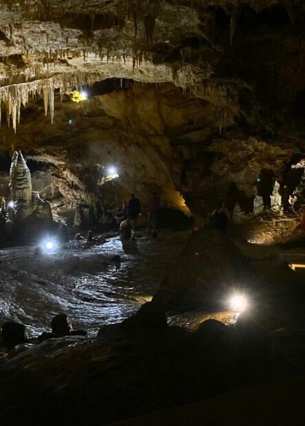 Lipa cave, Lipa cave Cetinje, Lipa cave Montenegro, caves Montenegro, Montenegro, natural sights in Montenegro, Montenegrin culture, Petrović dynasty, lipa cave photos, lipa cave reviews, lipa cave entrance fee, lipa cave tour, lipa cave temperature, lipa cave cetinje, Lipa cave wikipedia, temperature in Lipa cave, best attractions to visit in Cetinje, attractions to visit in Cetinje, attractions Cetinje, Lipa pećina, Lipa pećina Cetinje, Lipa pećina Crna Gora, pećine Crna Gora, Crna Gora, prirodne znamenitosti u Crnoj Gori, crnogorska kultura, dinastija Petrović, fotografije Lipske pećine, recenzije Lipske pećine, ulaznica za Lipsku pećinu, obilazak Lipske pećine, temperatura Lipske pećine, Lipska pećina wikipedia, temperatura u Lipskoj pećini, najbolje atrakcije za posjetiti na Cetinju, atrakcije za posjetiti na Cetinju, atrakcije Cetinja,Lipska pećina Cetinje, Lipska pećina Crna Gora, pećine Crna Gora, fotografije Lipske pećine, temperatura Lipske pećine, ulaznica za Lipsku špilju, obilazak Lipske špilje, temperatura Lipske špilje, Lipska špilja wikipedia, temperatura u Lipskoj špilji, Lipska špilja Cetinje, Lipska špilja Crna Gora, špilje Crna Gora, fotografije Lipske špilje, temperatura Lipske špilje,