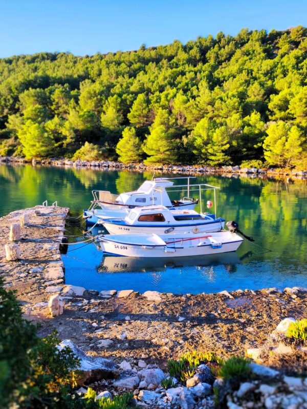 Zadar County, safest natural harbor on the Adriatic, largest natural harbor on the Adriatic, natural harbor Adriatic, Telašćica Nature Park,salt lake Mir, Mir lake, Lake Mir, Telašćica Nature Park archaeological sites, archaeological sites, Grpašćak, Grpascak viewpoint, Dugi otok, Telašćica Nature Park, Dugi otok Telašćica Nature Park, Dugi otok diving, Dugi otok cycling, Dugi otok wikipedia, Dugi Otok Camping, dugi otok beaches, dugi otok sali, Dugi otok map, telašćica nature park plants, telašćica nature park flora and fauna, telašćica nature park attractions, telašćica nature park fishing, Zadarska županija, najsigurnija prirodna luka na Jadranu, najveća prirodna luka na Jadranu, prirodna luka Jadran, Park prirode Telašćica, slano jezero Mir, jezero Mir, jezero Mir, Park prirode Telašćica arheološka nalazišta, arheološka nalazišta, Grpašćak, vidikovac Grpašćak, Dugi otok, Park prirode Telašćica, Park prirode Dugi otok Telašćica, Dugi otok ronjenje, Dugi otok biciklizam, Dugi otok wikipedia, Dugi Otok Camping, dugi otok plaže, dugi otok sali, karta Dugog otoka, biljke parka prirode telašćica, flora parka prirode telašćica i fauna, park prirode telašćica atrakcije, park prirode telašćica ribolov,