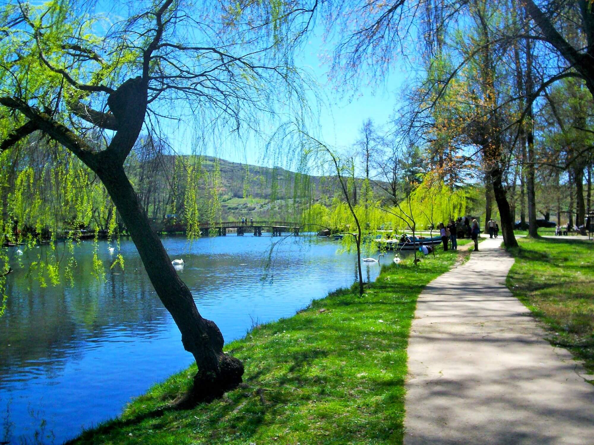 Pogradec, largest city in Albania, largest cities in Albania, Lake Ohrid, history of Pogradec, Illyrian civilization, destination, for tourists, Albanian cuisine, Pogradec restaurant, Pogradec activities, Ohrid trout, koran, petulla, Drilon National Park, Pogradec Drilon National Park, Pogradec worth a visit, Pogradec worth visiting, pogradec in winter, Pogradec wikipedia, Pogradec albania, Pogradec Lake, How old is Pogradec, Pogradec albania things to do, Pogradec, najveći grad u Albaniji, najveći gradovi u Albaniji, Ohridsko jezero, povijest Pogradeca, ilirska civilizacija, odredište, za turiste, albanska kuhinja, restoran Pogradec, aktivnosti Pogradec, Ohridska pastrva, koran, petula, nacionalni park Drilon, nacionalni park Pogradec Drilon Park, Pogradec grad, Pogradec vrijedi posjetiti, pogradec zimi, Pogradec wikipedia, Pogradec albanija, Pogradec jezero, Koliko je star Pogradec, Pogradec albanija što raditi,