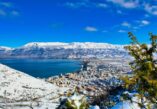 Pogradec, largest city in Albania, largest cities in Albania, Lake Ohrid, history of Pogradec, Illyrian civilization, destination, for tourists, Albanian cuisine, Pogradec restaurant, Pogradec activities, Ohrid trout, koran, petulla, Drilon National Park, Pogradec Drilon National Park, Pogradec worth a visit, Pogradec worth visiting, pogradec in winter, Pogradec wikipedia, Pogradec albania, Pogradec Lake, How old is Pogradec, Pogradec albania things to do, Pogradec, najveći grad u Albaniji, najveći gradovi u Albaniji, Ohridsko jezero, povijest Pogradeca, ilirska civilizacija, odredište, za turiste, albanska kuhinja, restoran Pogradec, aktivnosti Pogradec, Ohridska pastrva, koran, petula, nacionalni park Drilon, nacionalni park Pogradec Drilon Park, Pogradec grad, Pogradec vrijedi posjetiti, pogradec zimi, Pogradec wikipedia, Pogradec albanija, Pogradec jezero, Koliko je star Pogradec, Pogradec albanija što raditi,
