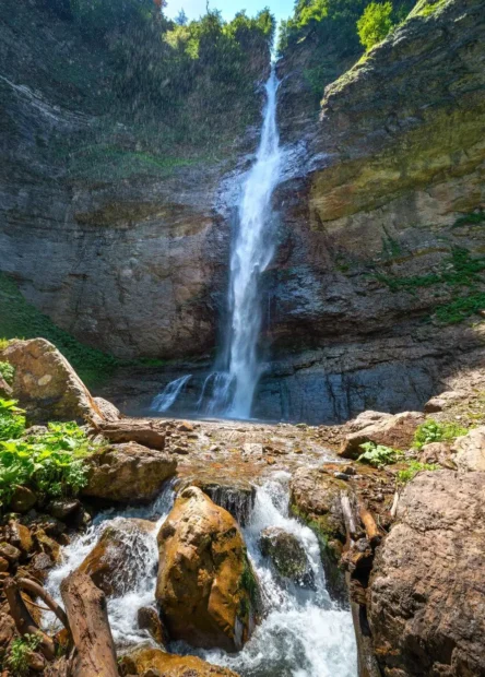 perucica forest, Perucica forest hike, Where is Perucica located, Perucica rainforest animals, Perucica rainforest, Perucica rainforest plants, Perucica rainforest trees, Perucica rainforest waterfall, National park Sutjeska, Perućica, Perucica, Skakavac waterfall, UNESCO, Zelengora, Maglic, Foča, Foca Bosnia, last rainforests in Europe, rainforests in Europe, strict nature reserve, lungs of Europe, NP Sutjeska, perucica entrance fee, skakavac waterfall entrance fee, national park sutjeska entrance fee, Šuma perućica, Pješačenje šumom Perućica, Gdje se nalazi Perućica, Životinje u prašumi Perućica, Prašuma Perućica, Biljke u prašumi Perućica, Drveće u prašumi Perućica, Vodopad u prašumi Perućica, Nacionalni park Sutjeska, Perućica, Perućica, Vodopad Skakavac, UNESCO, Zelengora, Maglić, Foča, Foča Bosna, posljednje prašume u Evropi, prašume u Evropi, strogi prirodni rezervat, pluća Evrope, NP Sutjeska, ulaznica perućica, vodopad skakavac ulaznica, nacionalni park sutjeska ulaznica, posljednje prašume u Europi, prašume u Europi,