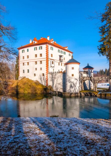 Snežnik Castle, Lož Valley, Kozarišče, Loška Dolina, Slovenia, Meinhard von Schneberg, Snežnik Castle ticket price, National Museum of Slovenia, Sneznik castle, Snežnik Castle Slovenia, Snežnik Castle history, Snežnik Castle tours, Visiting Snežnik Castle, Castle in the Slovenian Alps, Snežnik Castle architecture, Slovenia tourist attractions, Things to do near Snežnik Castle, Snežnik Castle photos, Slovenian medieval castles, Snežnik Castle opening hours, Snežnik Castle entrance fee, Snežnik Castle events, Best time to visit Snežnik Castle, Explore Snežnik Castle, Slovenian cultural heritage, Snežnik Castle guided tours, Snežnik Castle interior, Family-friendly activities at Snežnik Castle, Hidden gems in Slovenia, Dvorac Snežnik Slovenija, povijest dvorca Snežnik, obilasci dvorca Snežnik, posjet dvorcu Snežnik, dvorac u slovenskim Alpama, arhitektura dvorca Snežnik, slovenske turističke atrakcije, aktivnosti u blizini dvorca Snežnik, fotografije dvorca Snežnik, slovenski srednjovjekovni dvorci, radno vrijeme dvorca Snežnik, Ulaznica za dvorac Snežnik, događaji u dvorcu Snežnik, najbolje vrijeme za posjet dvorcu Snežnik, istraživanje dvorca Snežnik, slovenska kulturna baština, vođeni obilasci dvorca Snežnik, unutrašnjost dvorca Snežnik, aktivnosti za obitelji u dvorcu Snežnik, skriveni dragulji u Sloveniji, Dvorac Snežnik, Dolina Lož, Kozarišče, Loška Dolina, Slovenija, Meinhard von Schneberg, Dvorac Snežnik cijena ulaznice, Narodni muzej Slovenije,