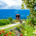 nature reserve, what to see in Tivat, what to visit in Tivat,Tivat, Montenegro, Lake Skadar,Tivat airport, Tivatska solila, Tivat Saline, Tivat Saltern, Koložun river, Široka river, Krtole cove, Special Nature Reserve Tivatska Solila,  rezervat prirode, šta vidjeti u Tivtu, šta posjetiti u Tivtu, Tivat, Crna Gora, Skadarsko jezero, aerodrom Tivat, Tivatska solila, solana Tivat, Tivatska solana, rijeka Koložun, rijeka Široka, uvala Krtole, Specijalni rezervat prirode Tivatska solila,
