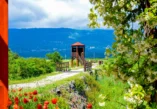 nature reserve, what to see in Tivat, what to visit in Tivat,Tivat, Montenegro, Lake Skadar,Tivat airport, Tivatska solila, Tivat Saline, Tivat Saltern, Koložun river, Široka river, Krtole cove, Special Nature Reserve Tivatska Solila,  rezervat prirode, šta vidjeti u Tivtu, šta posjetiti u Tivtu, Tivat, Crna Gora, Skadarsko jezero, aerodrom Tivat, Tivatska solila, solana Tivat, Tivatska solana, rijeka Koložun, rijeka Široka, uvala Krtole, Specijalni rezervat prirode Tivatska solila,