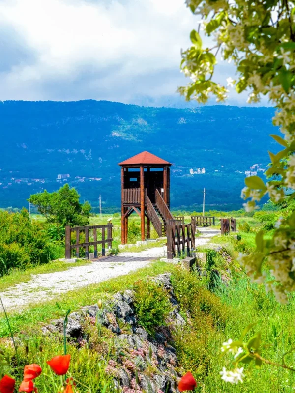 nature reserve, what to see in Tivat, what to visit in Tivat,Tivat, Montenegro, Lake Skadar,Tivat airport, Tivatska solila, Tivat Saline, Tivat Saltern, Koložun river, Široka river, Krtole cove, Special Nature Reserve Tivatska Solila,  rezervat prirode, šta vidjeti u Tivtu, šta posjetiti u Tivtu, Tivat, Crna Gora, Skadarsko jezero, aerodrom Tivat, Tivatska solila, solana Tivat, Tivatska solana, rijeka Koložun, rijeka Široka, uvala Krtole, Specijalni rezervat prirode Tivatska solila,