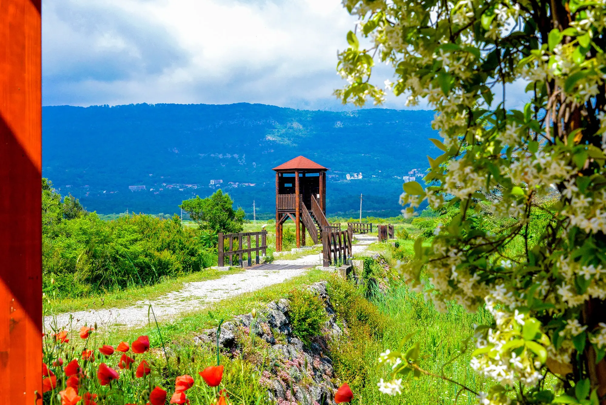 nature reserve, what to see in Tivat, what to visit in Tivat,Tivat, Montenegro, Lake Skadar,Tivat airport, Tivatska solila, Tivat Saline, Tivat Saltern, Koložun river, Široka river, Krtole cove, Special Nature Reserve Tivatska Solila,  rezervat prirode, šta vidjeti u Tivtu, šta posjetiti u Tivtu, Tivat, Crna Gora, Skadarsko jezero, aerodrom Tivat, Tivatska solila, solana Tivat, Tivatska solana, rijeka Koložun, rijeka Široka, uvala Krtole, Specijalni rezervat prirode Tivatska solila,