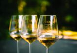Podravina, Bilogora, Chresno wines, Miroslav Slaviček, Ivona Slaviček, Čresno, Mala Črešnjevica, Traminac Fragrant, White and Yellow Muscat, Rhine Riesling, Zeleni Silvanc, Merlot, Syrah, Cabernet Sauvignon, Solaris, Muscaris, Cabernet Blanc, Cabernet Cortis, Zagreb Underground, Zagreb Underground tunnel gric, tunel gric event, zagreb tunel gric, zagreb events, zagreb events april, tunel gric events, Podravina, Bilogora, Chresno vina, Miroslav Slaviček, Ivona Slaviček, Čresno, Mala Črešnjevica, Traminac mirisni, Muškat bijeli i žuti, Rajnski rizling, Zeleni silvanc, Merlot, Syrah, Cabernet sauvignon, Solaris, Muscaris, Cabernet Blanc, Cabernet Cortis, Zagreb Underground, Zagreb Podzemni tunel gric, tunel gric događaj, zagreb tunel gric, zagreb događanja, zagreb događanja travanj, tunel gric događanja,